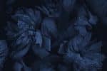 Bleu Nuit - Image 2