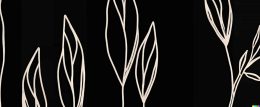 papier peint feuillage dEbene motif dessine blanc sur fond noir