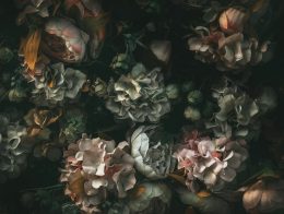 papier peint floral drama motif d un bouquet de fleurs sur un fond sombre