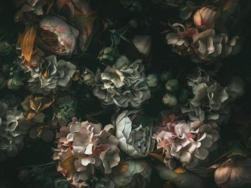 papier peint floral drama motif d un bouquet de fleurs sur un fond sombre