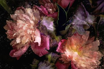 papier peint gloire motif fleurs avec effet goute d eau